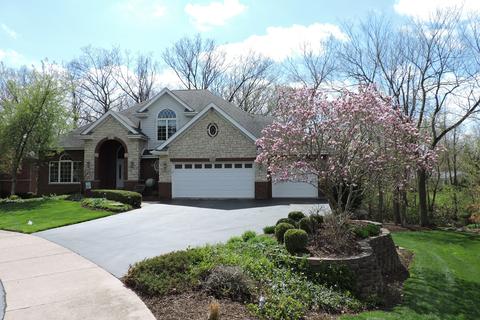 20012 White Pine Ct, Mokena, IL 60448 photo 33