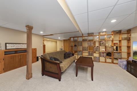 24900 Michele Dr, Plainfield, IL 60544 photo 27