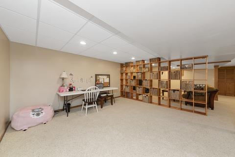 24900 Michele Dr, Plainfield, IL 60544 photo 25