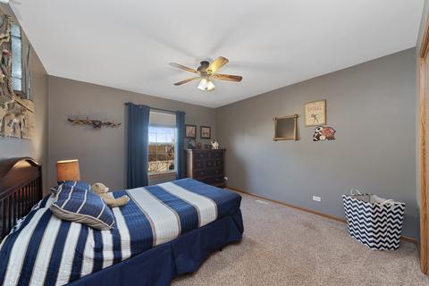 24900 Michele Dr, Plainfield, IL 60544 photo 13