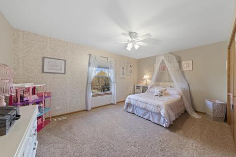 24900 Michele Dr, Plainfield, IL 60544 photo 14
