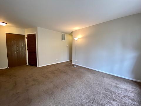 761 Candleridge Ct #A1, Bartlett, IL 60103 photo 10