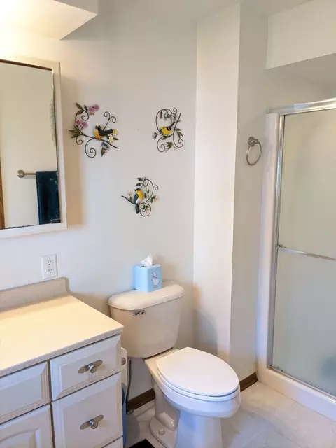 1947 Baintree Rd, Davis, IL 61019 photo 18