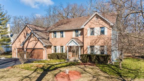 1122 Preserve Trl, Bartlett, IL 60103 photo 38
