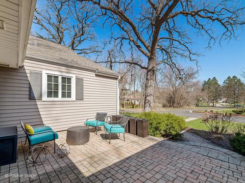 105 Forest Ave, Roselle, IL 60172 photo 22