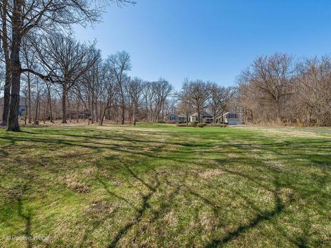 105 Forest Ave, Roselle, IL 60172 photo 25