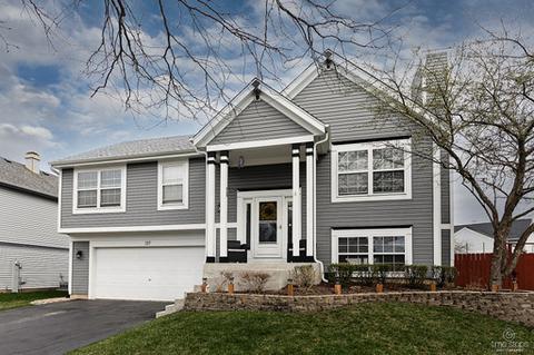 317 Barton Ct, Bartlett, IL 60103 photo 2