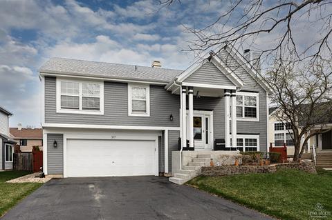 317 Barton Ct, Bartlett, IL 60103 photo 1