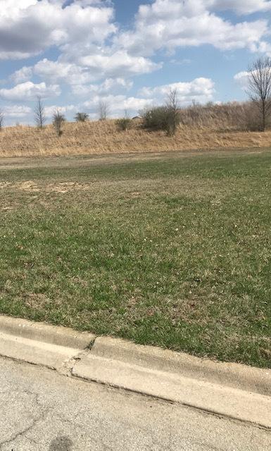 25113 Tuscany Dr, Monee, IL 60449 photo 1