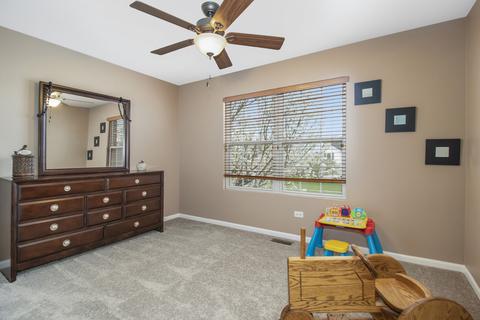 1313 Bridgehampton Dr, Plainfield, IL 60586 photo 26