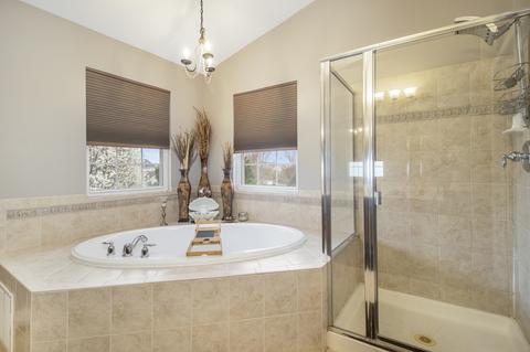 1313 Bridgehampton Dr, Plainfield, IL 60586 photo 22