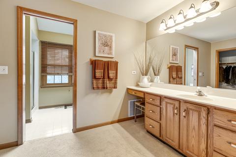421 Fairway View Dr, Algonquin, IL 60102 photo 14