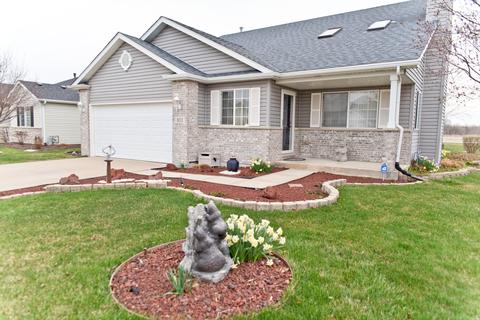 811 Blackhawk Dr, Braidwood, IL 60408 photo 1
