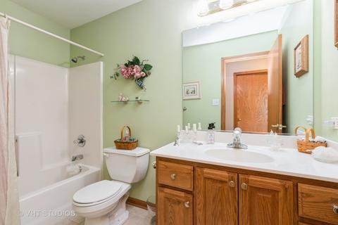 266 Mallards Cv, Beecher, IL 60401 photo 11