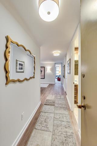 200 E Delaware Pl #15A, Chicago, IL 60611 photo 7