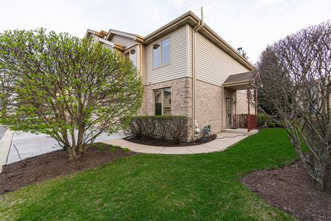 683 E Nerge Rd, Roselle, IL 60172 photo 30