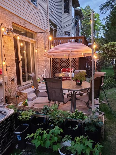 683 E Nerge Rd, Roselle, IL 60172 photo 31