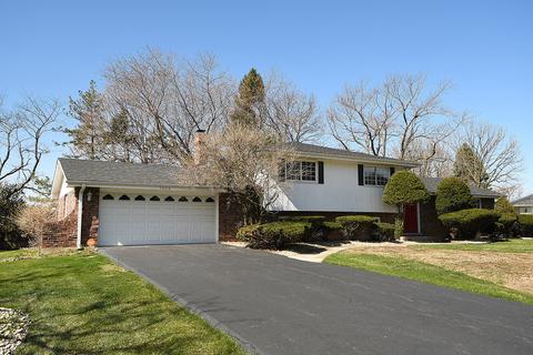 1024 Roslyn Rd, Olympia Fields, IL 60461 photo 2