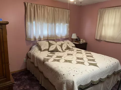 923 W 1st St, Spring Valley, IL 61362 photo 7
