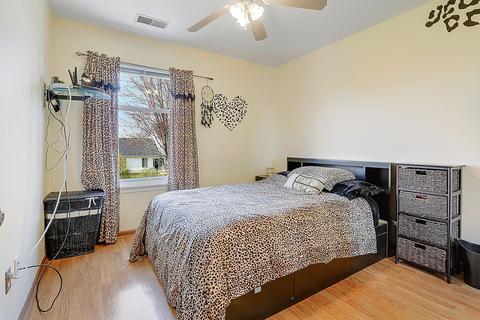 22116 W Marshall Dr, Plainfield, IL 60544 photo 19