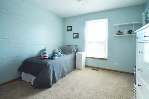 24044 W Marathon Ln, Plainfield, IL 60585 photo 17