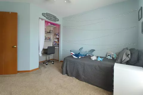 24044 W Marathon Ln, Plainfield, IL 60585 photo 18