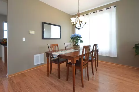 24044 W Marathon Ln, Plainfield, IL 60585 photo 6