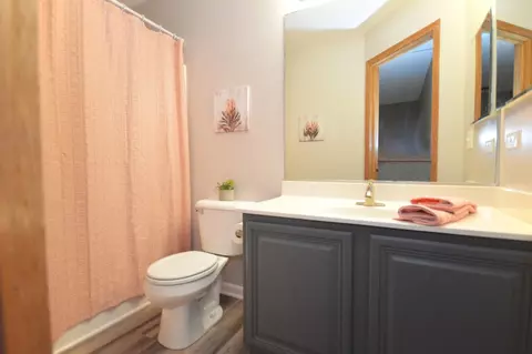 24044 W Marathon Ln, Plainfield, IL 60585 photo 19