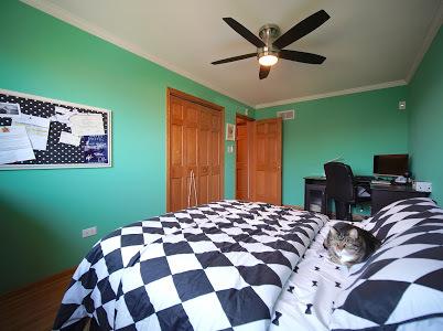 8041 S Oconto St, Bridgeview, IL 60455 photo 30