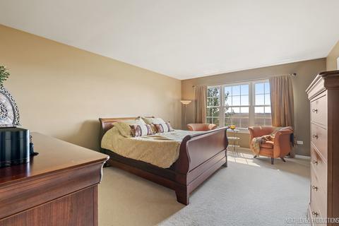 26123 Mapleview Dr, Plainfield, IL 60585 photo 23