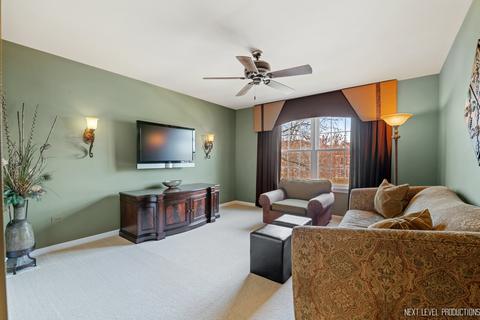 26123 Mapleview Dr, Plainfield, IL 60585 photo 20