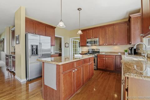 26123 Mapleview Dr, Plainfield, IL 60585 photo 9