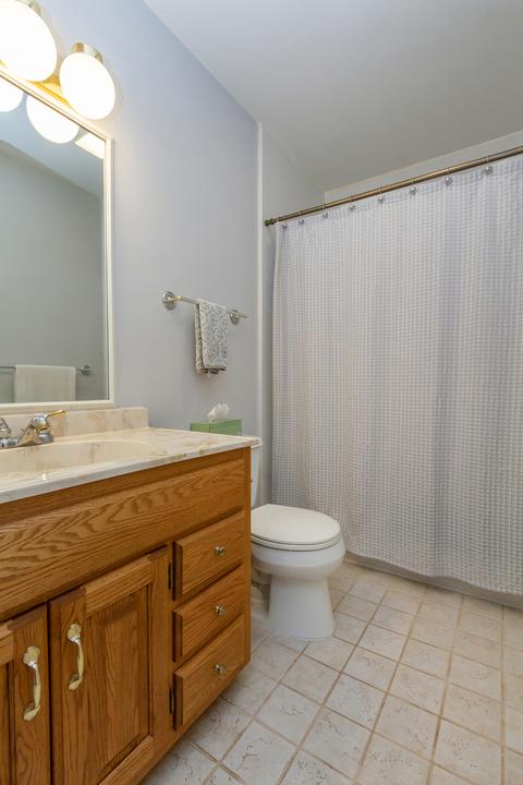1163 E Paddock Dr, Palatine, IL 60074 photo 10