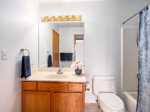 7203 Waterman Ct, Plainfield, IL 60586 photo 12