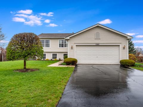 7203 Waterman Ct, Plainfield, IL 60586 photo 2