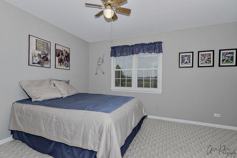 1807 Brixham Ln, Johnsburg, IL 60051 photo 20