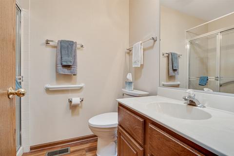 21038 W Hazelnut Ln, Plainfield, IL 60544 photo 19