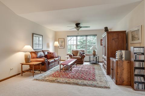21038 W Hazelnut Ln, Plainfield, IL 60544 photo 3