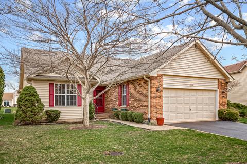 21038 W Hazelnut Ln, Plainfield, IL 60544 photo 1