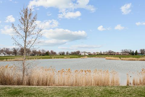 21038 W Hazelnut Ln, Plainfield, IL 60544 photo 33