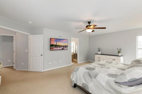 16420 Hidden River Cir, Plainfield, IL 60586 photo 29