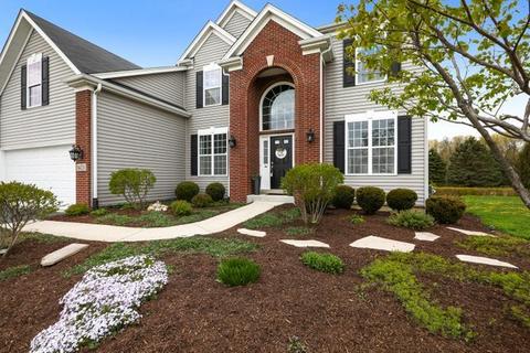 16420 Hidden River Cir, Plainfield, IL 60586 photo 43