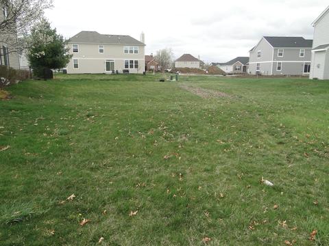 25222 W Jackson Ln, Plainfield, IL 60586 photo 2