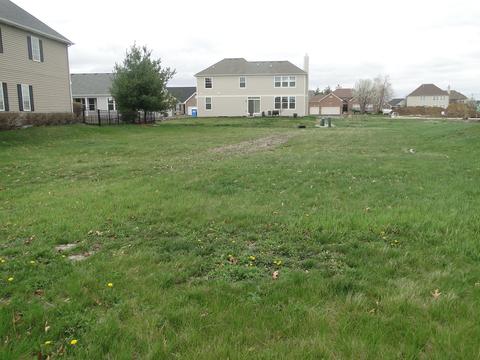 25222 W Jackson Ln, Plainfield, IL 60586 photo 3