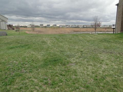 25508 W Rock Dr, Plainfield, IL 60586 photo 2