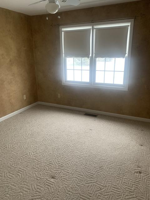 9 Stonehenge Rd, Mattoon, IL 61938 photo 15