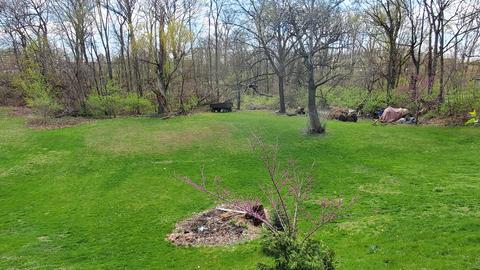 1504 Maple Rd, Joliet, IL 60432 photo 26