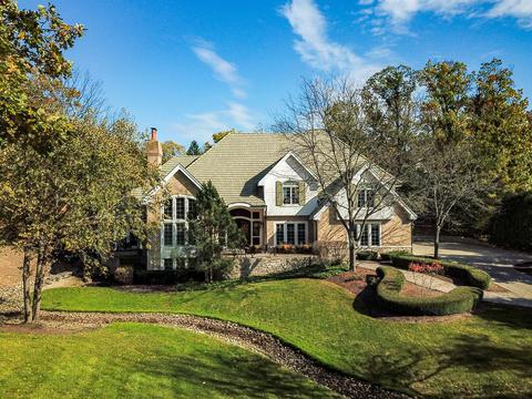 9283 E Falling Waters Dr, Burr Ridge, IL 60527 photo 1