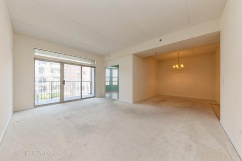 3125 Town Square Dr #206, Rolling Meadows, IL 60008 photo 3