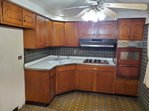306 E 95th St, Chicago, IL 60619 photo 4